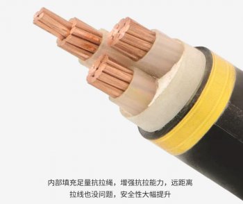 广东南缆电缆